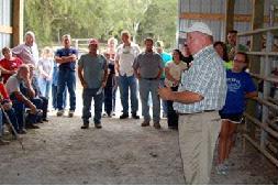 Warren Beeler discusses cattle grading with attendees at the field day