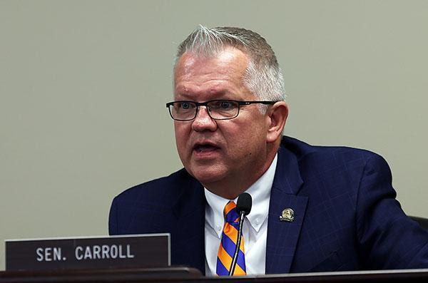Sen. Danny Carroll, R-Paducah, shares his ideas on preventing child fatalities in Kentucky during Wednesday’s Interim Joint Committee on Families and Children meeting.