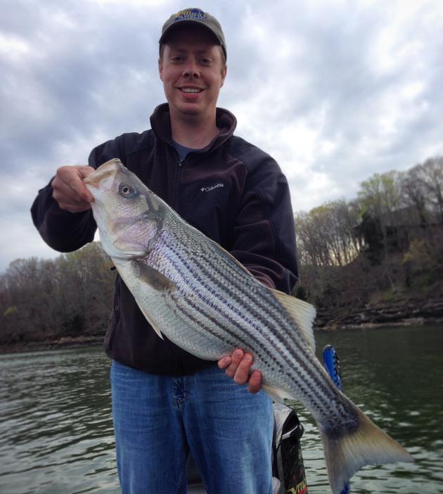 Nathan Brooks, executive producer of the “Kentucky Afield” television show, holds a 37-inch striped bass caught from Lake Cumberland last April on a swimbait. Swimbaits are an effective lure in spring through early summer for black bass, striped bass and even crappie.
