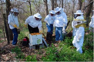 Beekeepers learn about beekeeping during a beginning beekeeping workshop session in Warren County in 2011. Photo by Greg Drake II