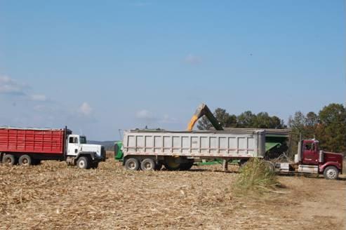 Farmers haul lots of farm products to the market each day.