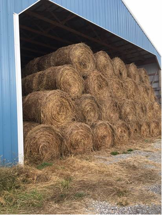 The Stockman’s association forage contest recognizes farmers for putting up exceptional forage for their livestock.  Pictured here is hay from the 2017 contest.  Photo by Greg Drake II