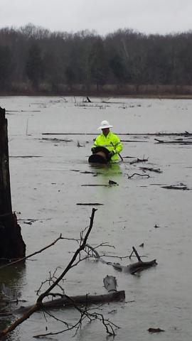 Morgantown lineman Mark Cardwell works in flood waters from the Green River on March 13, 2015, in Ohio County, to restore power.