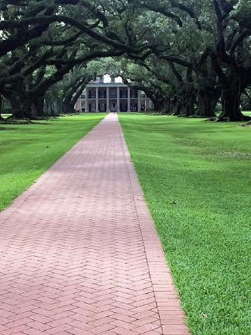 Oak Alley is named for the 300-year-old Virginia live oaks that border the walk way up to the Big House.