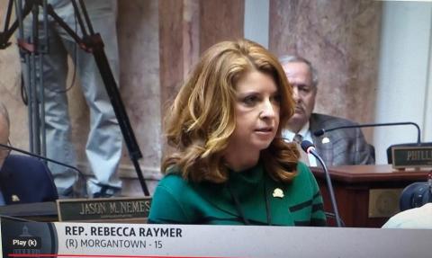 State Representative Rebecca Raymer (file photo)
