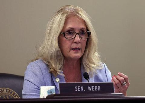 Sen. Robin L. Webb, R-Grayson, co-chairs the newly formed Disaster Prevention and Resiliency Task Force, which held its inaugural meeting on Friday.