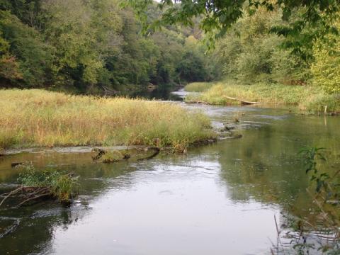 This is the upstream view from the Barren River #3 Voluntary Public Access site at the KY 101 Bridge in Warren County. Barren River offers paddlers incredible scenery, highly productive fishing and easy, gentle floating. Visitors can combine a weekend of floating the river and boating on Barren River Lake.