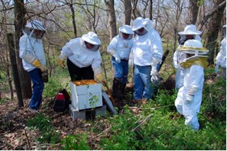  Beekeepers learn about beekeeping during a beginning beekeeping workshop session in Warren County in 2011.  Photo by Greg Drake II  