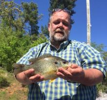 Chris Phelps caught this redear on Lake Barkley.