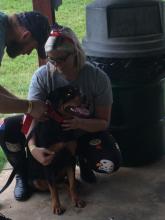 Best in Show: Galadria the Rottweiler