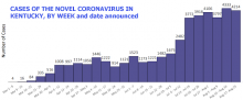 State graph, adapted by Kentucky Health News; weekly numbers reflect adjustments made after initial daily reports, including elimination of duplicate cases