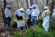  Beekeepers learn about beekeeping during a beginning beekeeping workshop session in Warren County in 2011.  Photo by Greg Drake II  