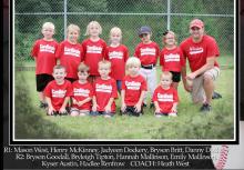 Cardinals