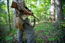 The fall squirrel season opens Aug. 20. Hunters should get a free copy of the 2016-2017 Kentucky Hunting and Trapping Guide prior to hunting season to brush up on season dates, changes from last year and other indispensable information. Copies are available wherever hunting licenses are sold or you may download a copy from the department’s website at fw.ky.gov.   
