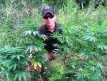 BC Sheriff Deputy Trey Flener and the plants.